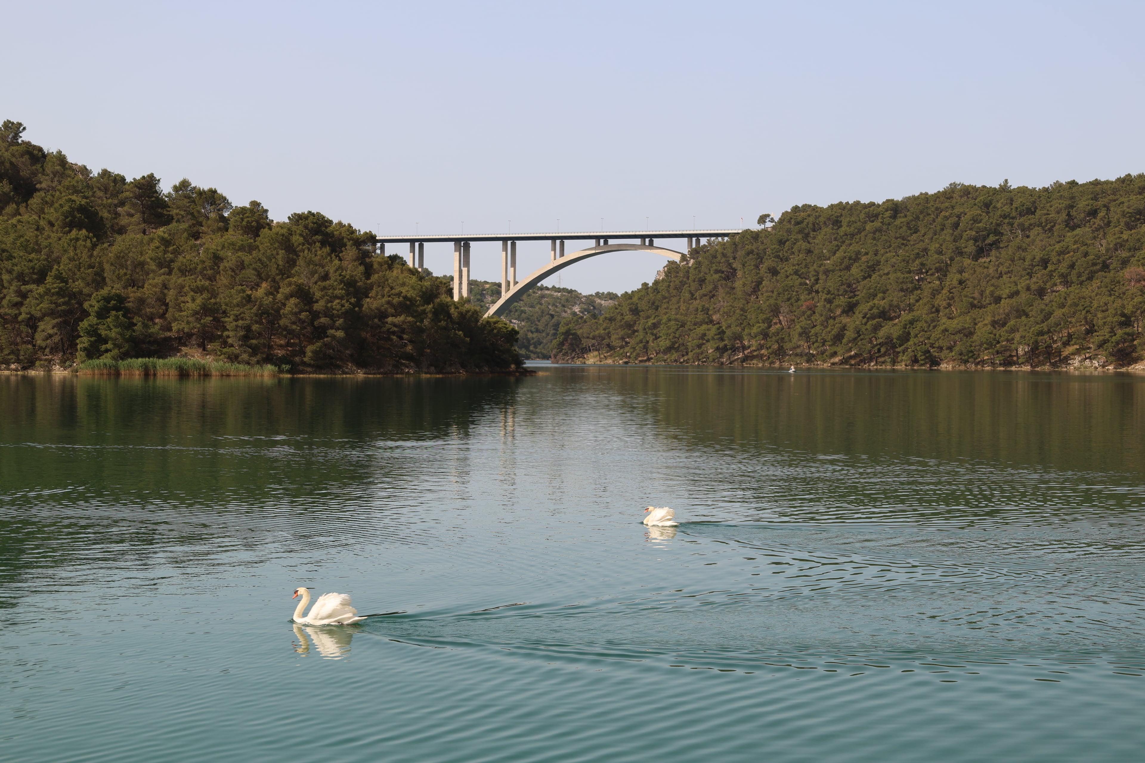 travel — Croatia — R70A4708