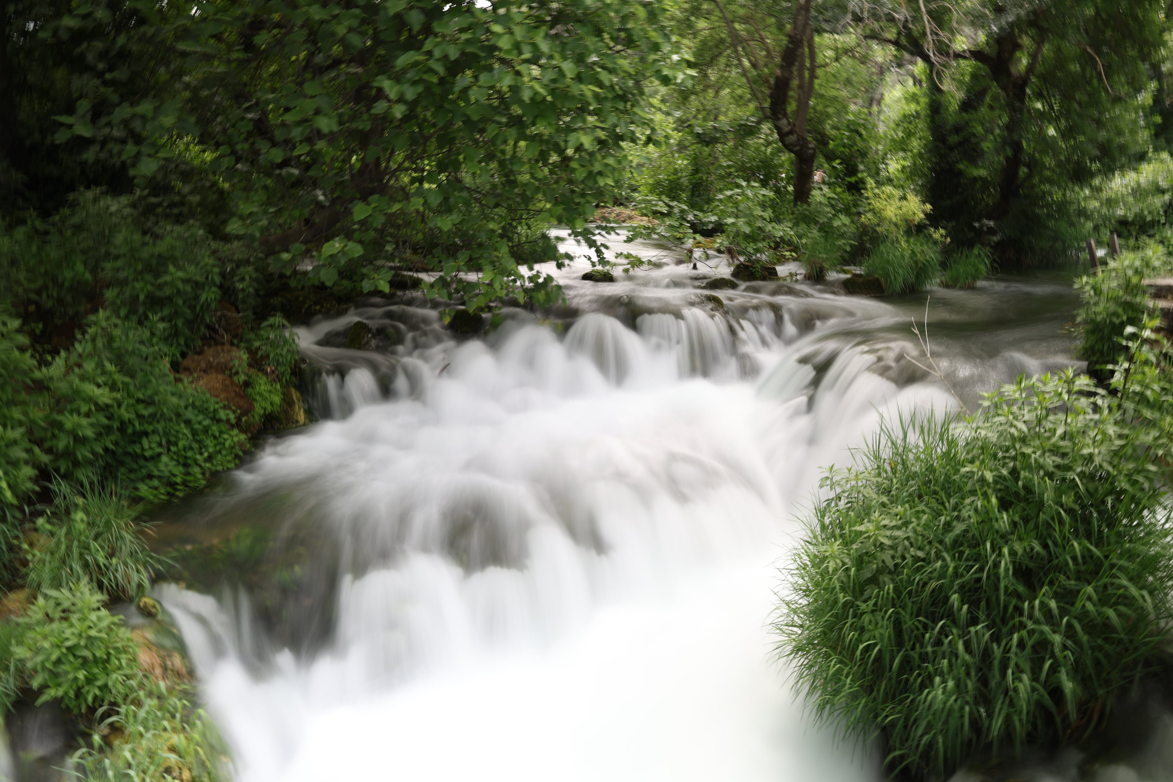 travel — Croatia — R70A4819